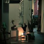 IMG3950webhelmken