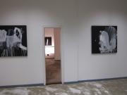 IMG0280klein