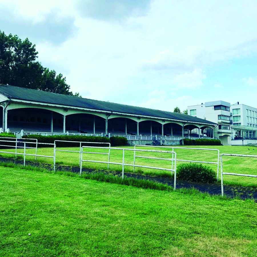 Galop de porc @ Daniel Schnier