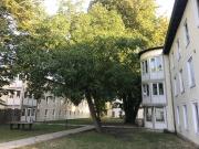 Hulsberg web 5