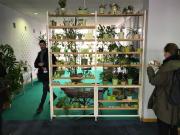 IMG 6060